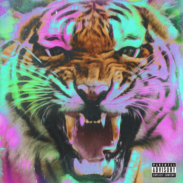 Tigre
