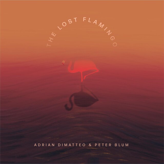 The Lost Flamingo