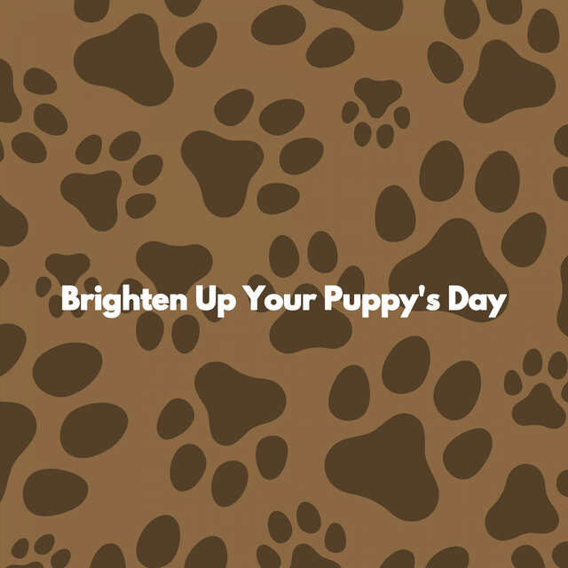Brighten Up Your Puppy's Day