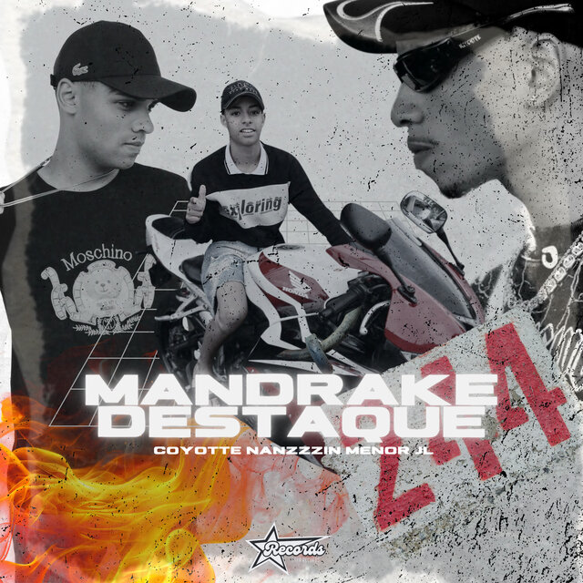 Mandrake Destaque