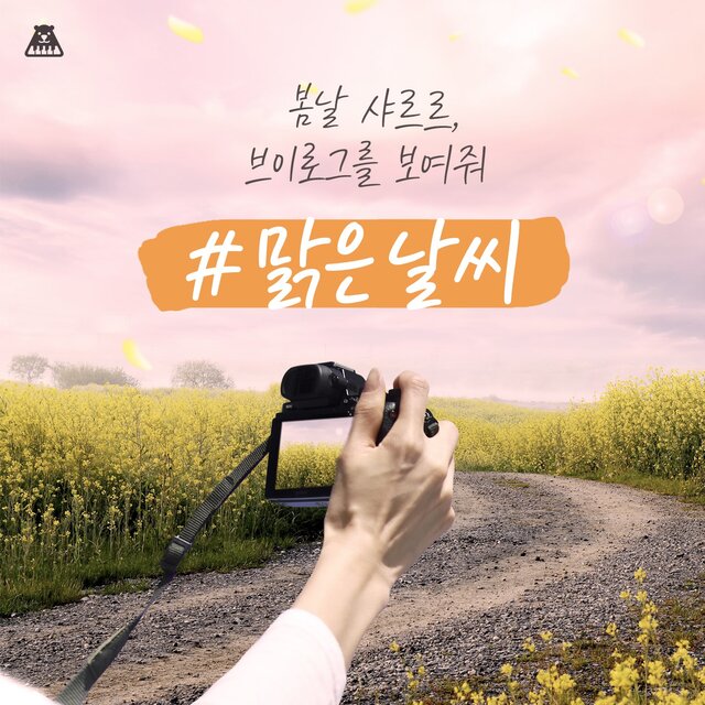 봄날 샤르르, 꽃 흩날리는 나들이 브이로그를 보여줘 [맑은 날씨]