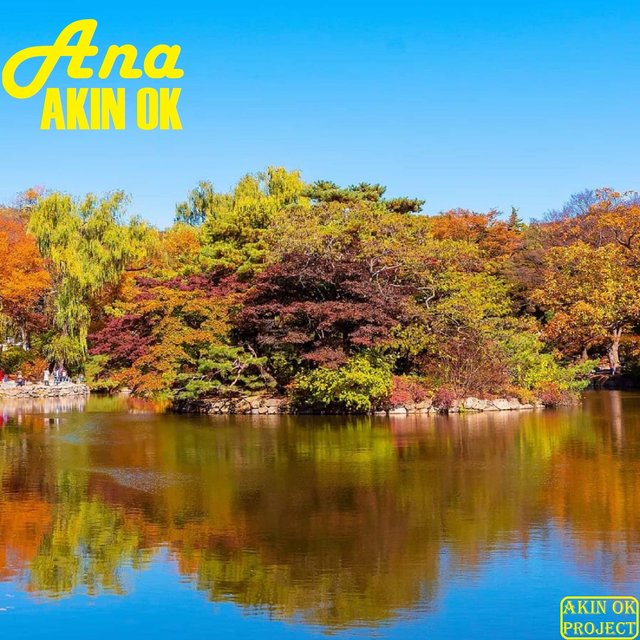 Ana