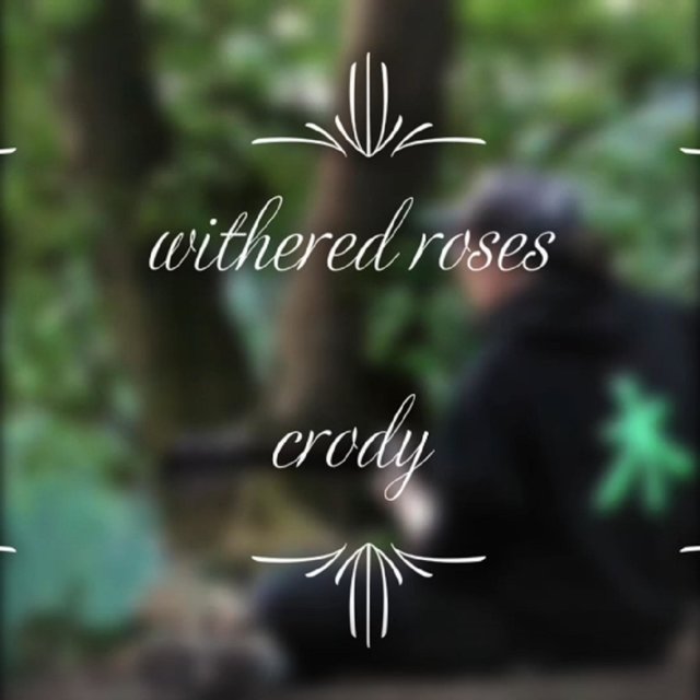 withered roses