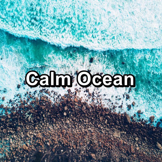 Calm Ocean