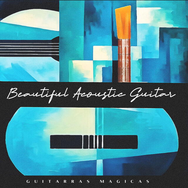 Beautiful Acoustic Guitar