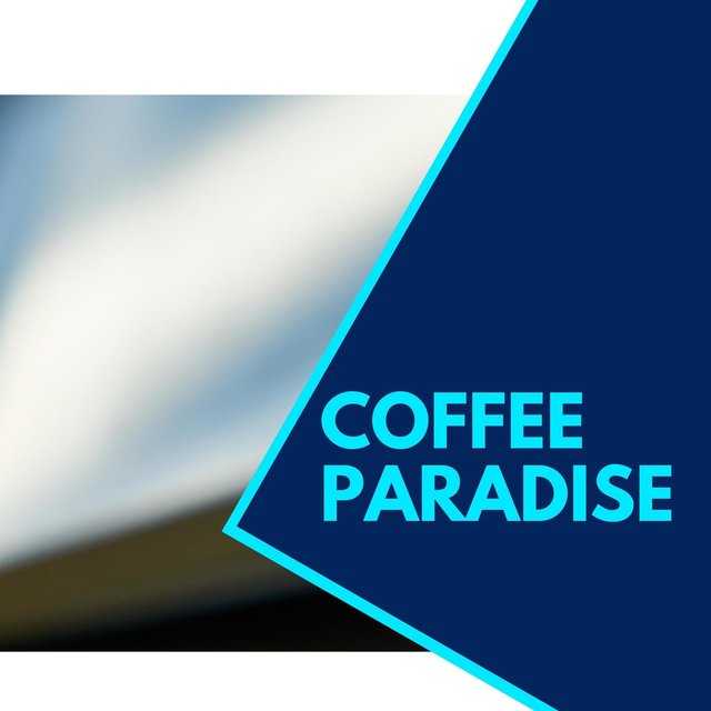 Coffee Paradise