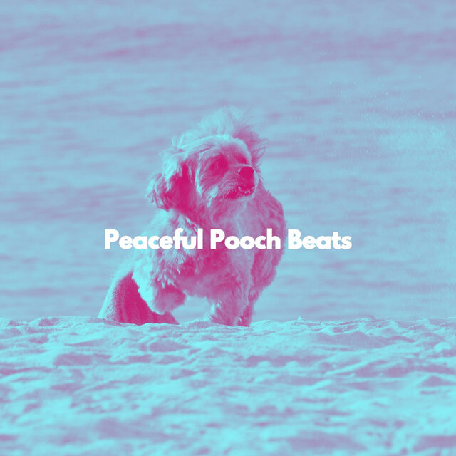 Peaceful Pooch Beats