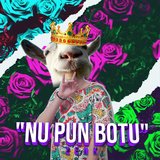 Nu Pun Botu