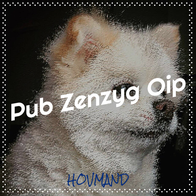 Pub Zenzyg Oip