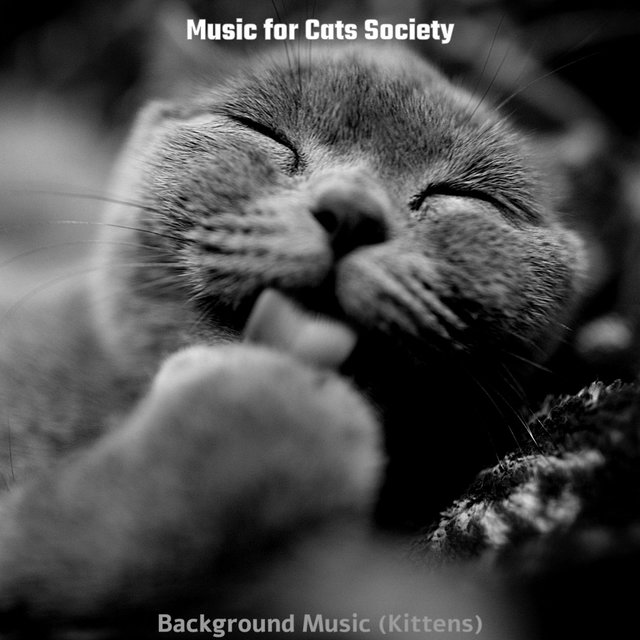 Background Music (Kittens)