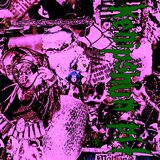 TIGERS EARN THEIR STRIPES