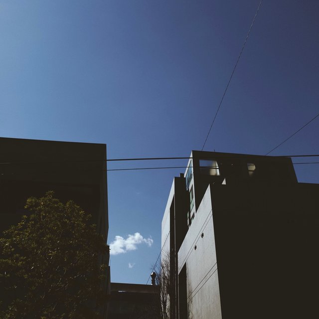 Take Me Back (feat. Koichi Wada)