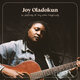 Cover art for album in defense of my own happiness by Joy Oladokun