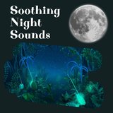 The Moon Rising