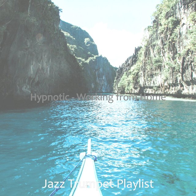 Hypnotic - Working from Home