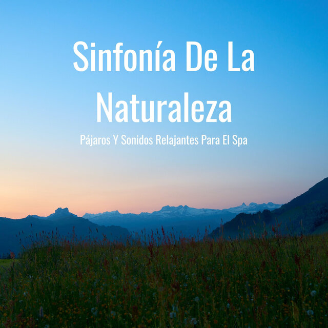 Sinfonía De La Naturaleza: Pájaros Y Sonidos Relajantes Para El Spa