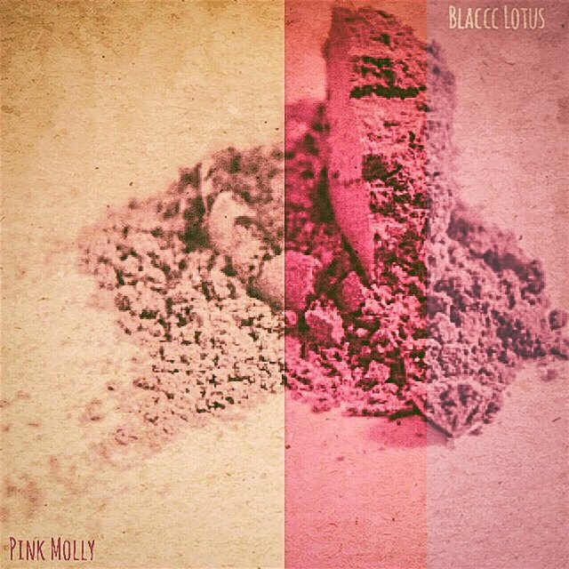 Pink Molly