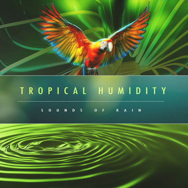 Tropical Humidity