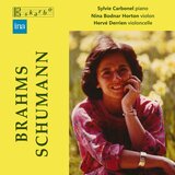 Piano Trio No. 1 in B Major, Op. 8: I. Allegro con brio