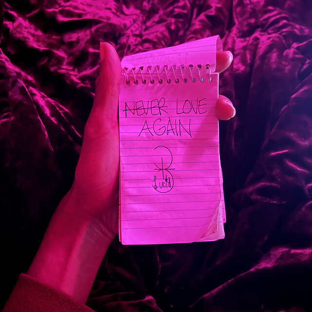 Never Love Again