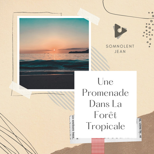 Une Promenade Dans La Forêt Tropicale