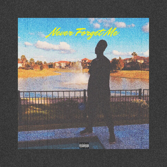 Never Forget Me