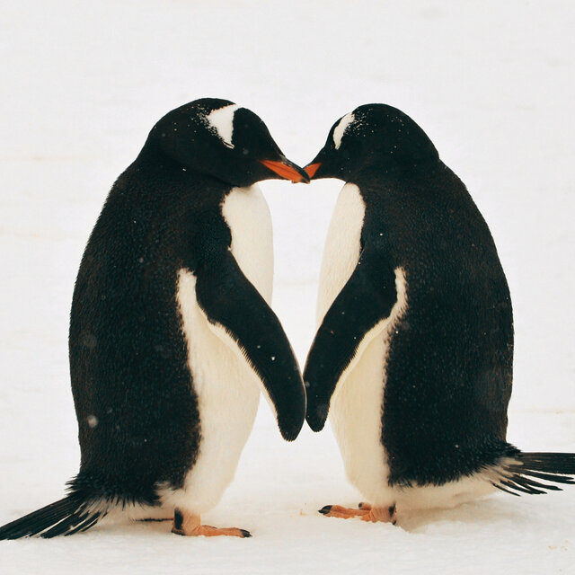 Nature's Kiss
