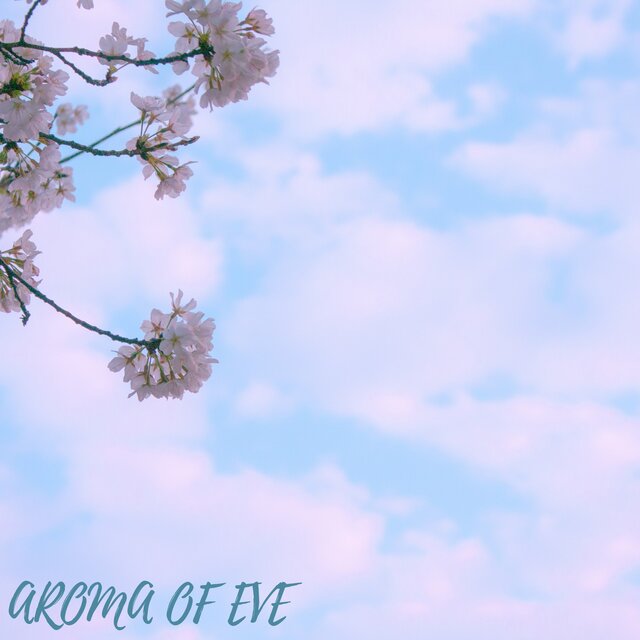 Aroma Of Eve (Instrumental Version)