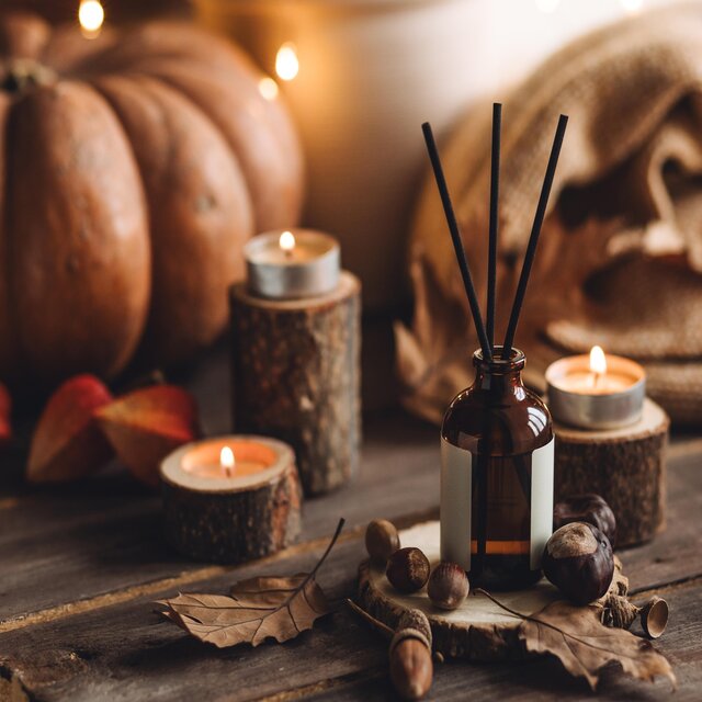 Whispers of Autumn – Gourds in the Garden