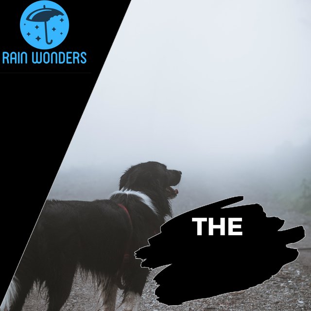 The Real Fire Song - Nature Soundtracks 2020