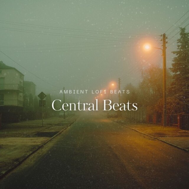 Central Beats: Relaxing Lofi Mix