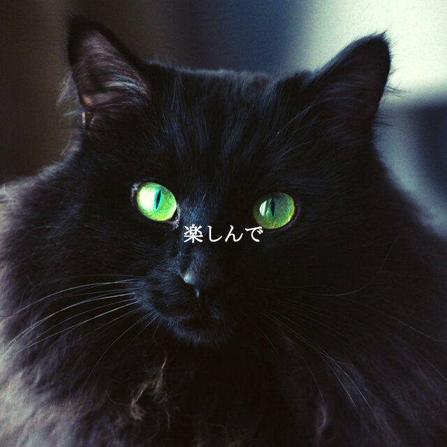 楽しんで