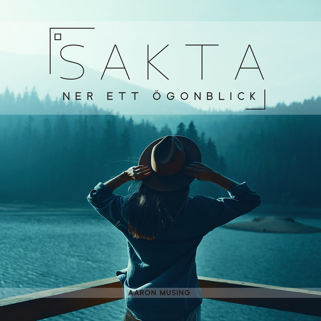 Sakta ner ett ögonblick