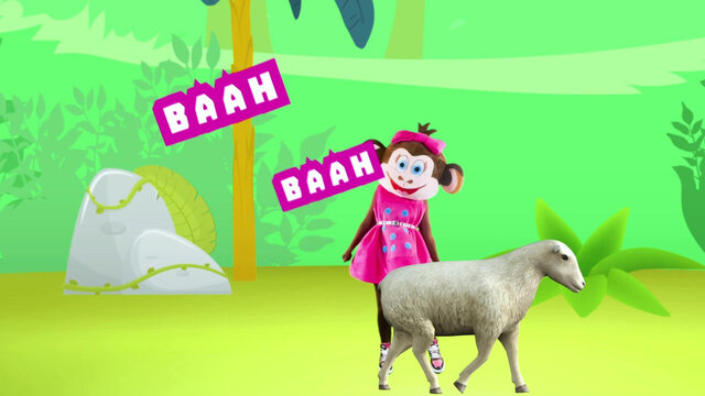 Animal Sounds