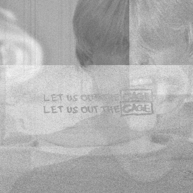 Let us out the cage