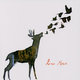 Cover art for album Low Roar by Low Roar
