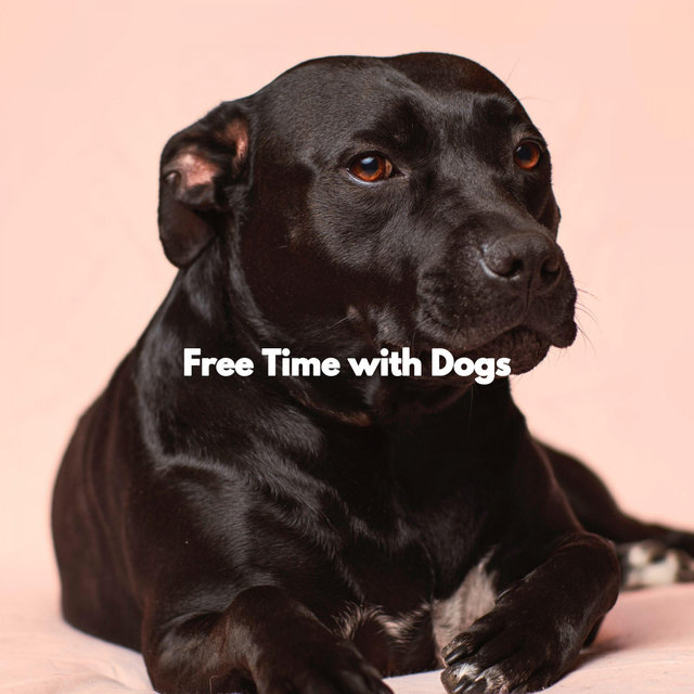 Free Time with Dogs