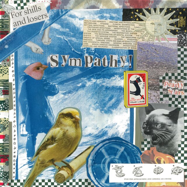 Cover art for album Sympathy by Pearly Stars