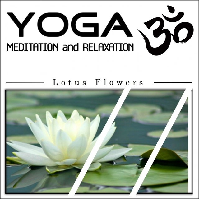 Yoga Meditation and Relaxation: Lotus Flowers (1hour Yoga Therapy for Your Spiritual and Body Healing)