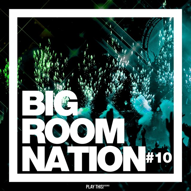 Big Room Nation, Vol. 10
