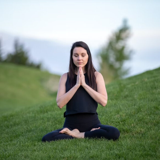 Enchanted Harp Meditations: Soothing White Noise and Nature Chill