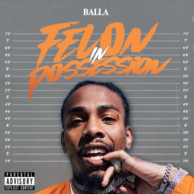 Felon in Possession