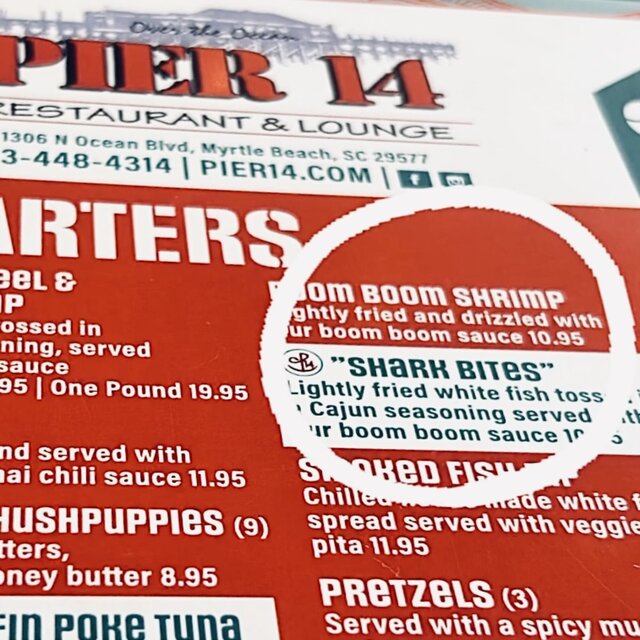 Shark Bites