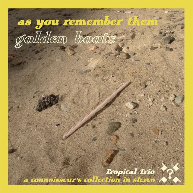 As You Remember Them