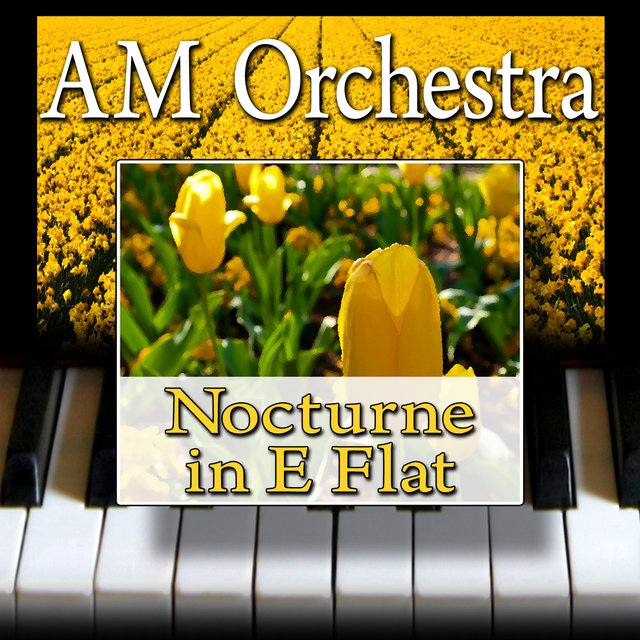 Nocturne in E Flat