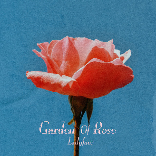 Garden Of Rose