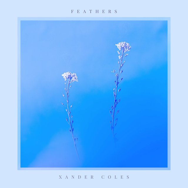 Feathers