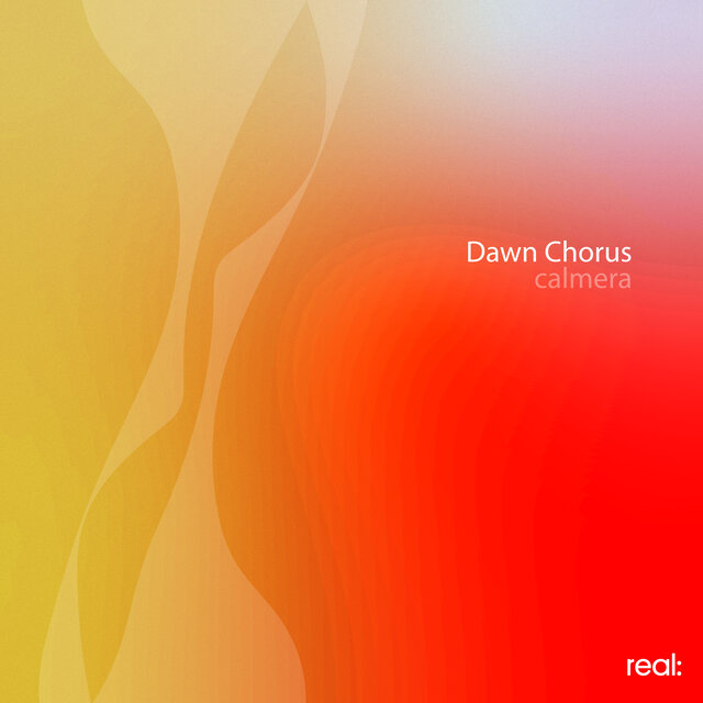 Dawn Chorus