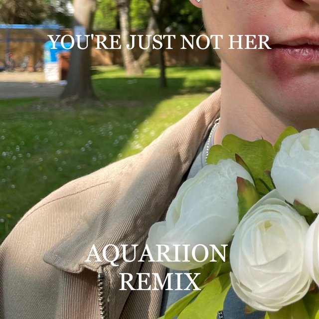You're Just Not Her (Aquariion Remix)