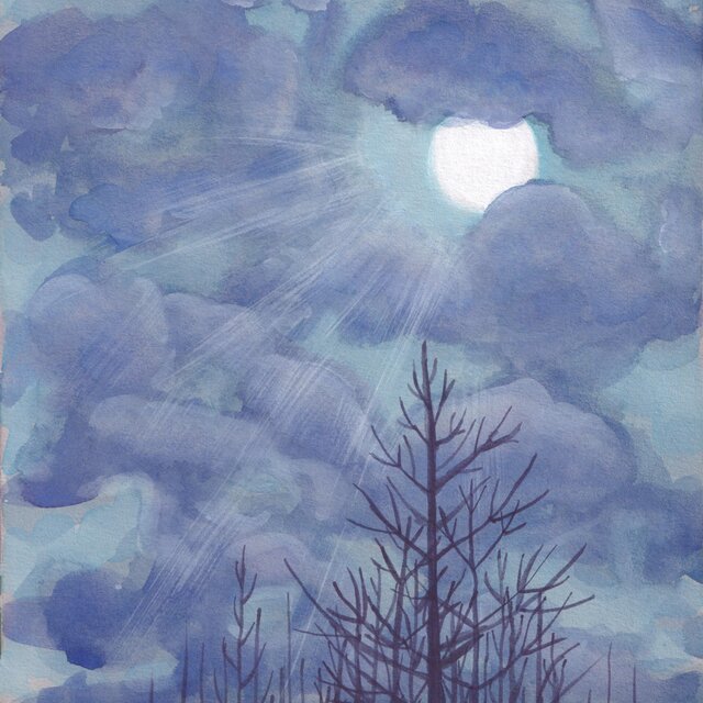 goodbye winter sky